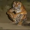 stopsavnow