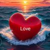 user13091978393801