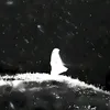 cmertb_i
