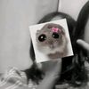yayaa_yasminn