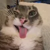 bloom_6701