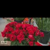 sayedha33