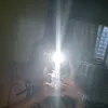 vine_249