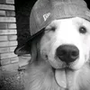 xozo_lierhzzz