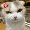 jaraponna