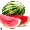 jujulkin