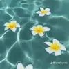 nguyn.mai.khnh.ng0