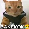 faidz.zulfadhi
