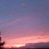 smjh.chy7