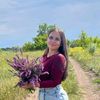 user8681091177687