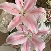 stargzrlly_