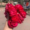 meharggg75