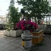 chuyn.nguyn.offic