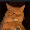 savvvvra4