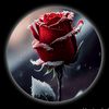 fiza.eiman