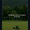 luis.hernandez9055