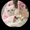 decentqueen584