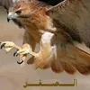 user2974961757250