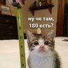 cartr1der