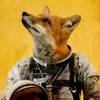 fox.man41