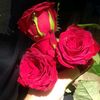 sathiya.sathi342