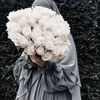 donia.yasser703