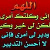 user4796160608795