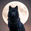 asil_tirci_53_1