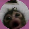 def_not_amani1