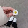 ❤️ 𝑨𝒔𝒆𝒆𝒍