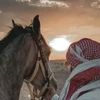 ahmad.mohammad638