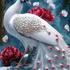 aboudamnouar48