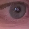 arinafseeme