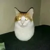 rodihgues