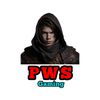 PWS gaming