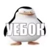 pipka077