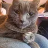 kitkat7428