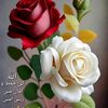 abdulgafoor7817