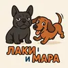 lakiimara