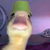 euyarleiferreirag