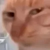 donutsmplive3