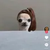 pedro_t11