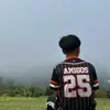 cicak_nepisak28