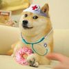 drdonutdoge