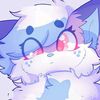 gatito_botoficial