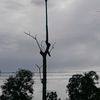 rahasia6921
