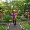 ceria120162
