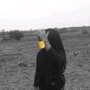xyz_yann50