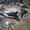 sadea550ril
