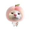 cegilnyaaa_chenzheyuannn